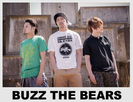 BUZZ THE BEARS