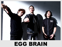 EGG BRAIN