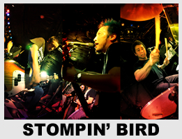 STOMPIN' BIRD